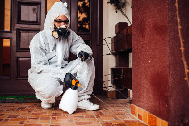 Reliable Wasp Removal contractor in Prosperity, SC by Show Me Pest Control